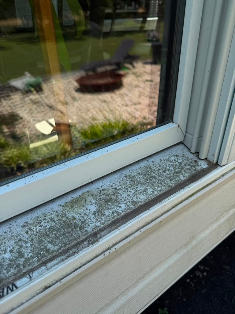 Window sill covered in green algae and dirt before cleaning at a Bucks County home