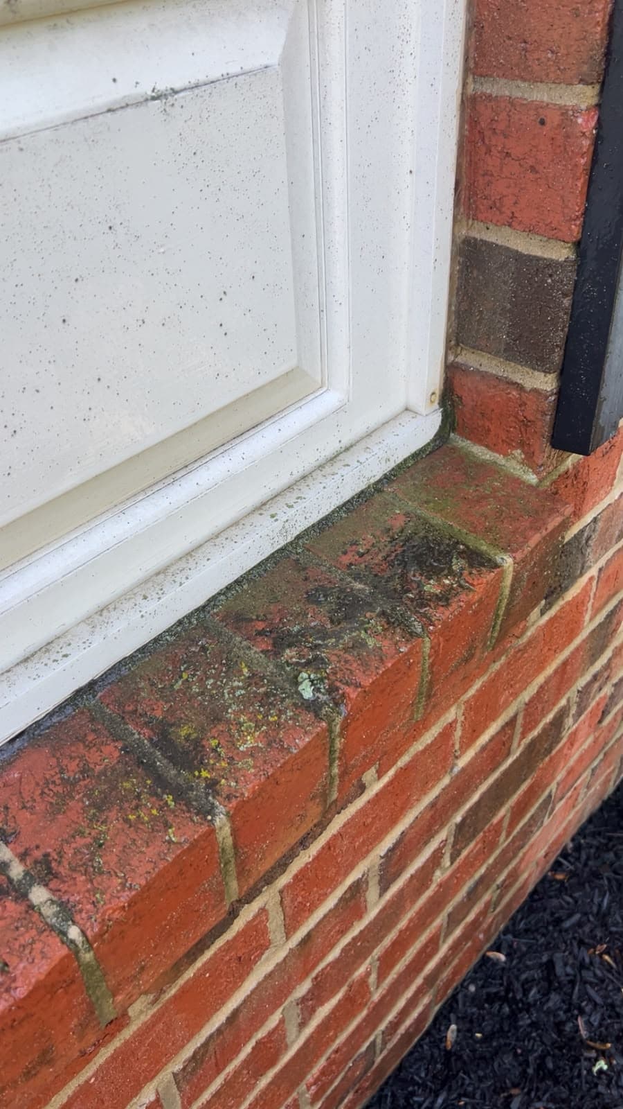 Brick window sill covered in moss and lichen before cleaning at a Bucks County property