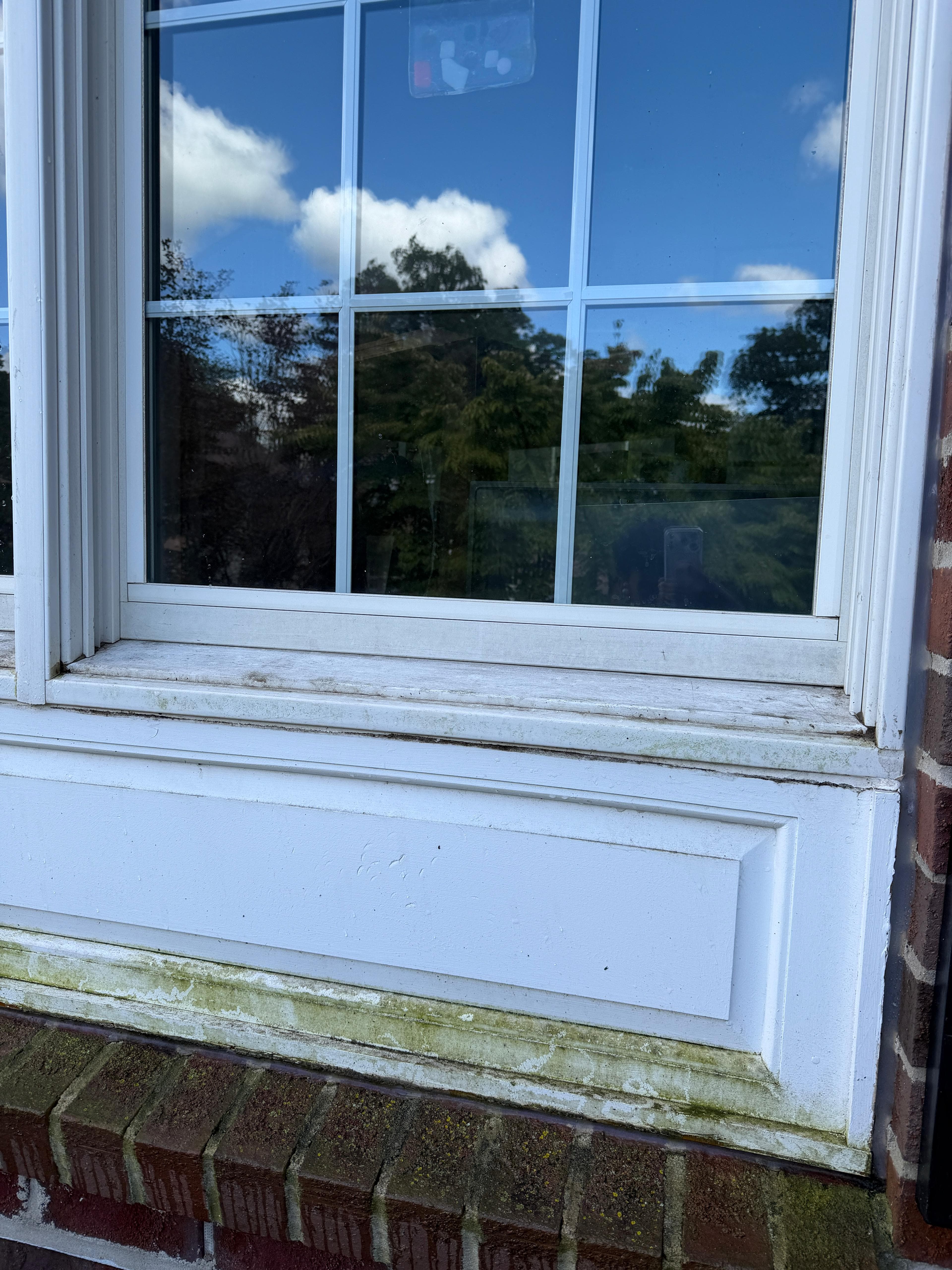 Painted window sill and brick ledge streaked with green algae before cleaning in Bucks County